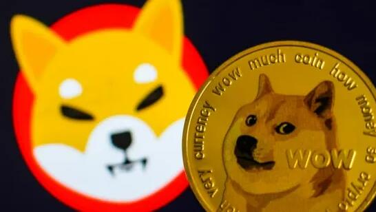 狗狗币和柴犬币有何不同，这两种币到底那个更好呢？