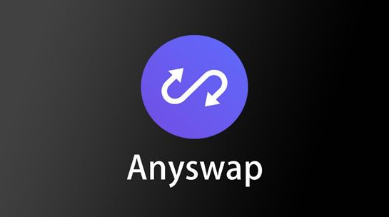 ANY币,ANY币是否有投资价值