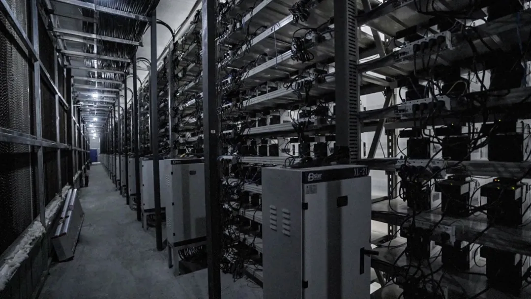 毛球丰水季 | 最后的“机”会,错过了恐怕要再等一年